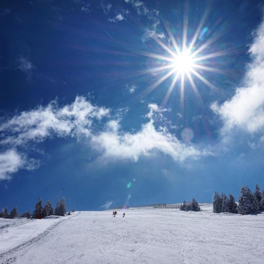 Ski & Spa Apartment S20 Milmari Resort Kopaonik Exterior photo